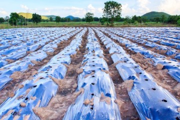 Une étude révèle une quantité croissante de microplastiques dans les terres agricoles
